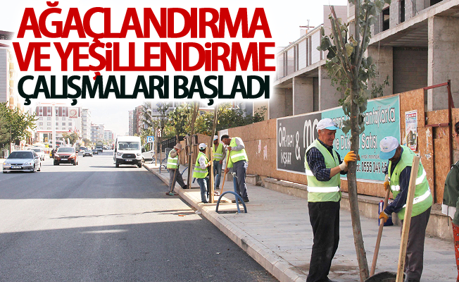 İskele Caddesi’nde yeşillendirme çalışması