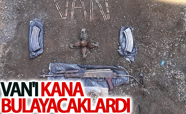 Van'ı kana bulayacaklardı