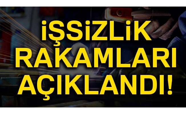 İşsizlik oranı yüzde 10,8 seviyesinde