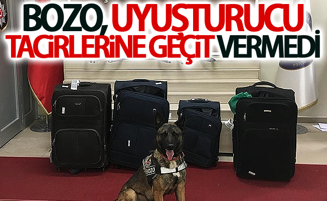 Bozo, uyuşturucu tacirlerine geçit vermedi