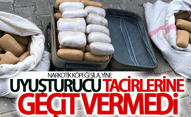 Narkotik köpeği Şila, yine uyuşturucu tacirlerine geçit vermedi