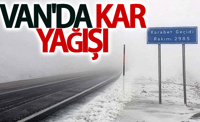 Van'da kar yağışı