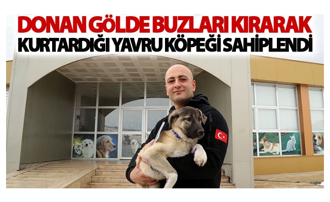 Donan gölde buzları kırarak kurtardığı yavru köpeği sahiplendi