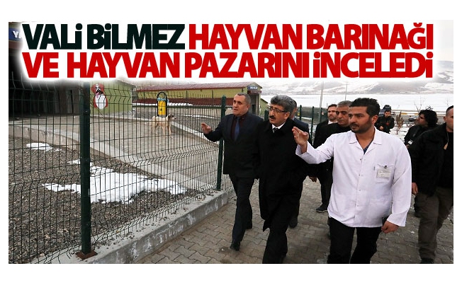 Vali Bilmez hayvan barınağı ve hayvan pazarını inceledi