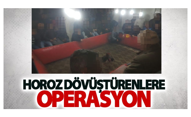 Horoz dövüştürenlere operasyon