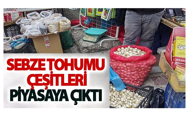 Sebze tohumu çeşitleri piyasaya çıktı