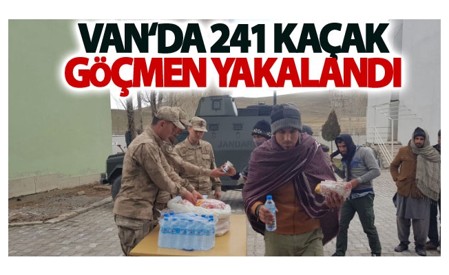 Van‘da 241 kaçak göçmen yakalandı