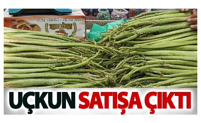 Uçkun satışa çıktı