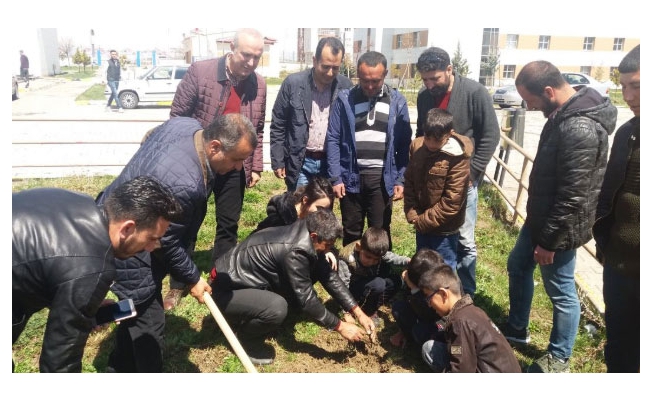 Vanlı Üniversiteli Gençlerden Hatıra Ormanı