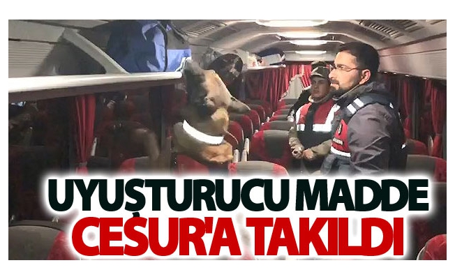 Uyuşturucu Madde cesura takıldı