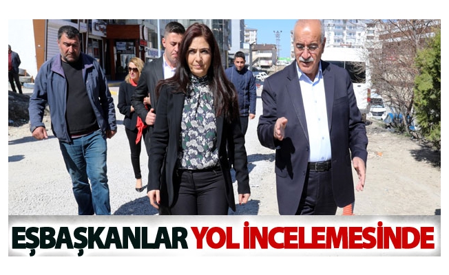 Eşbaşkanlar Yol incelemesinde