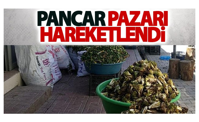 Pancar Pazarı hareketlendi