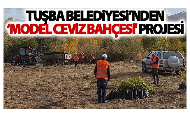 Tuşba Belediyesinden Model Ceviz Bahçesi projesi