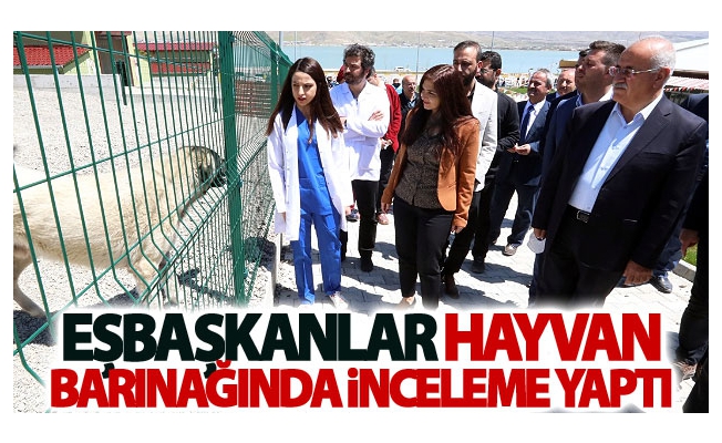 Eşbaşkanlar hayvanlar barınağında inceleme yaptı