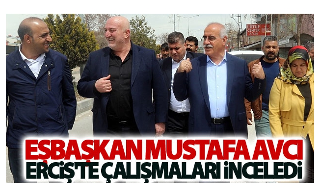 Eşbaşkan Mustafa Avcı Erciş'te çalışmaları inceledi