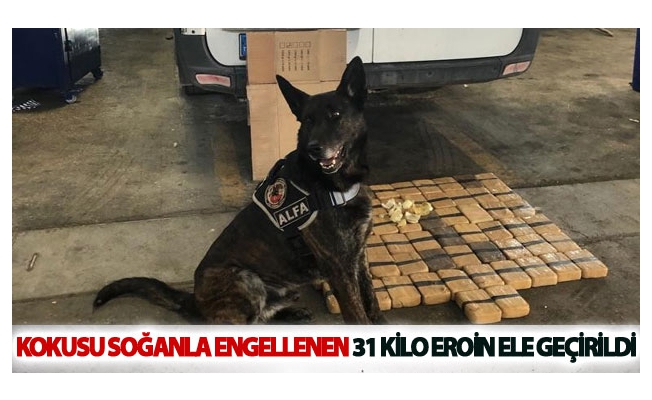 Yakıt deposunda kokusu soğanla engellenen 31 kilo eroin ele geçirildi