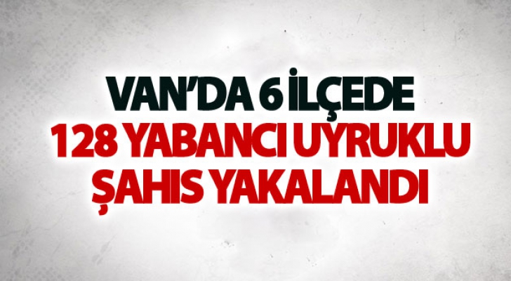 Van'da 6 ilçede 128 yabancı uyruklu şahıs yakalandı