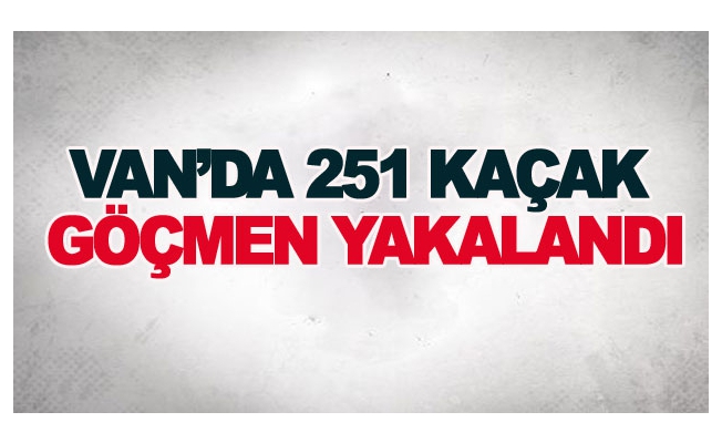 Van’da 251 kaçak göçmen yakalandı