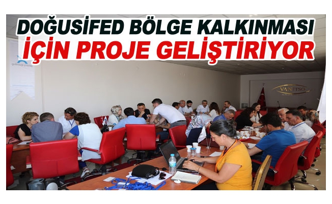 DOĞUSİFED bölge kalkınması için proje geliştiriyor