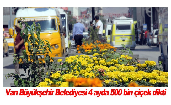 Van Büyükşehir Belediyesi 4 ayda 500 bin çiçek dikti