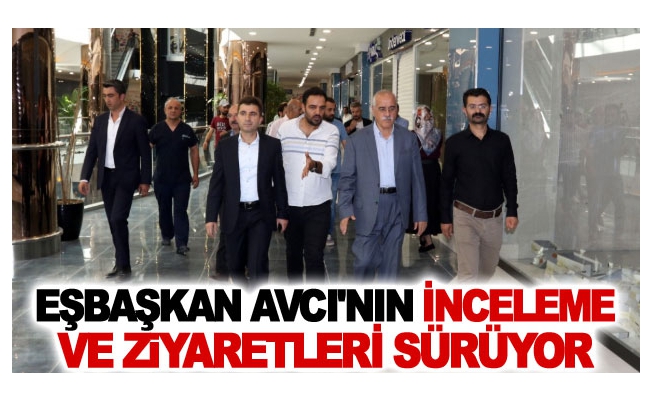 Eşbaşkan Avcı'nın inceleme ve ziyaretleri sürüyor