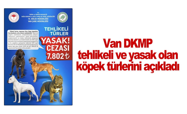 Van DKMP tehlikeli ve yasak olan köpek türlerini açıkladı