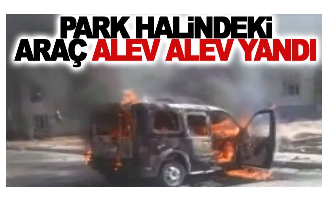 Park halindeki araç alev alev yandı