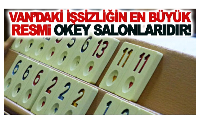 Van’daki işsizliğin en büyük resmi Okey salonlarıdır!