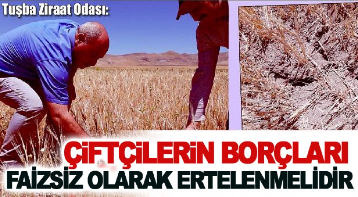 Tuşba Ziraat Odası: Çiftçilerin borçları faizsiz olarak ertelenmelidir