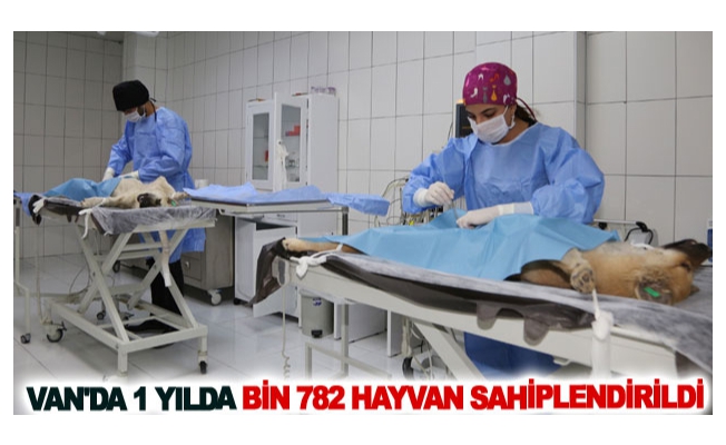 Van'da 1 yılda bin 782 hayvan sahiplendirildi