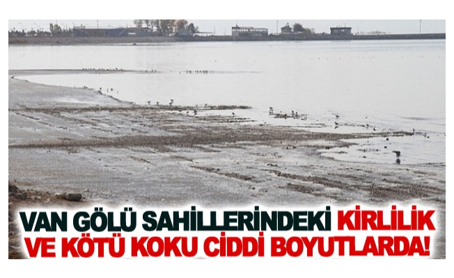 Van Gölü sahillerindeki kirlilik ve kötü koku ciddi boyutlarda!