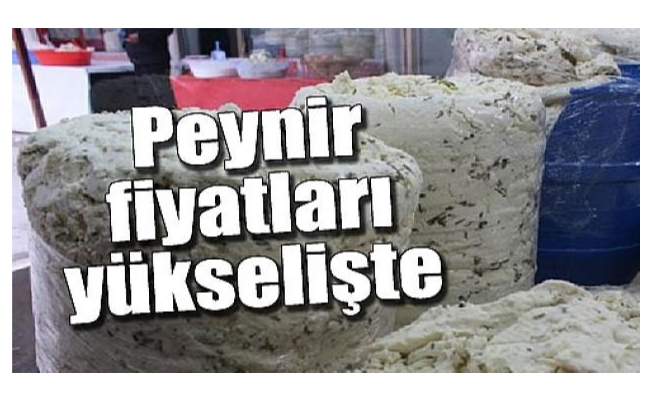 Peynir fiyatları yükselişte