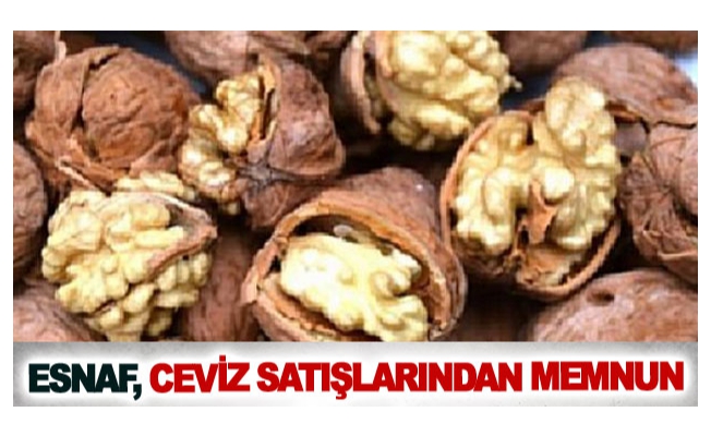 Esnaf, ceviz satışlarından memnun