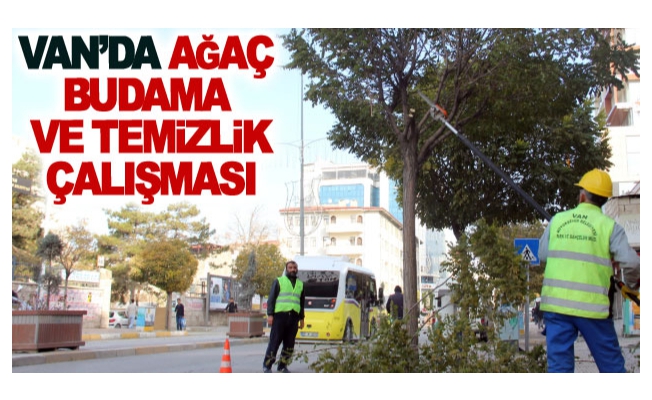 Van’da ağaç budama ve temizlik çalışması