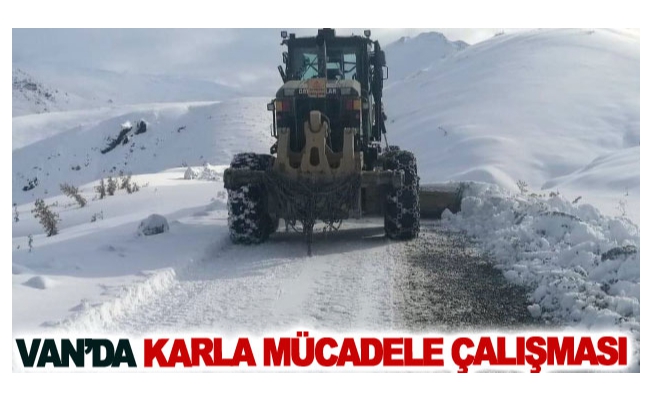 Van’da karla mücadele çalışması