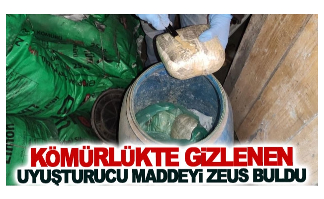 Kömürlükte gizlenen uyuşturucu maddeyi Zeus buldu