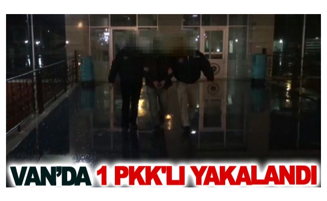 Van’da 1 Pkk'lı yakalandı