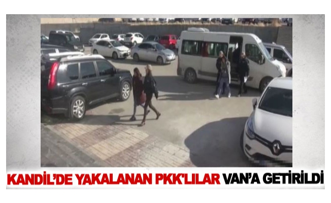 Kandil’de yakalanan Pkk'lılar Van’a getirildi