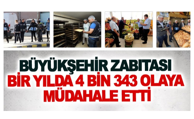 Van Büyükşehir Belediyesi zabıtası bir yılda 4 bin 343 olaya müdahale etti