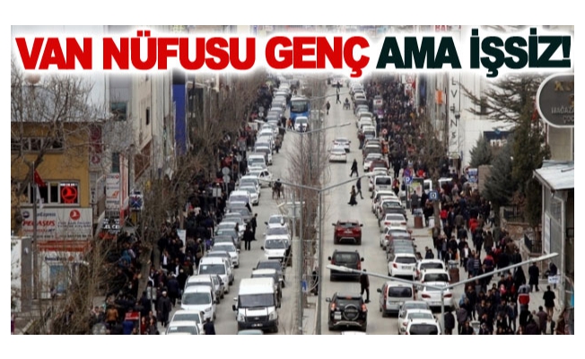 Van nüfusu genç ama işsiz!