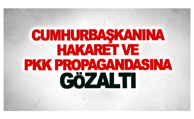 Cumhurbaşkanına hakaret ve Pkk propagandasına gözaltı