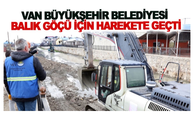 Büyükşehir belediyesi balık göçü için harekete geçti