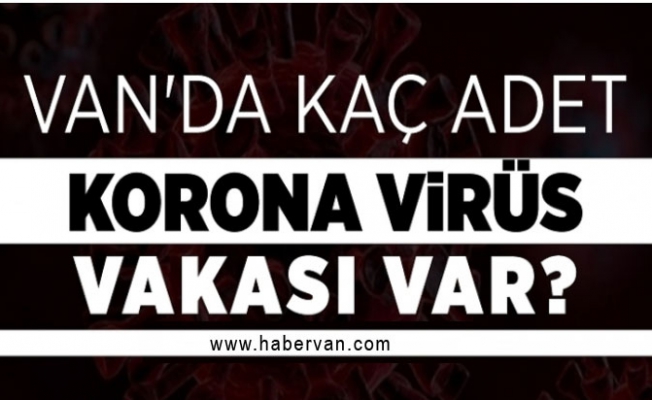 Van'da korona virüste son durum ne? Test sayısı ve vaka sayısı ne kadar?