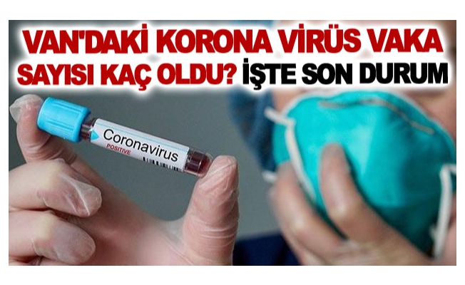 Van'daki korona virüs vaka sayısı kaç oldu? işte son durum