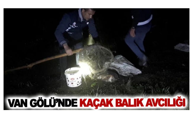 Van Gölü’nde kaçak balık avcılığı