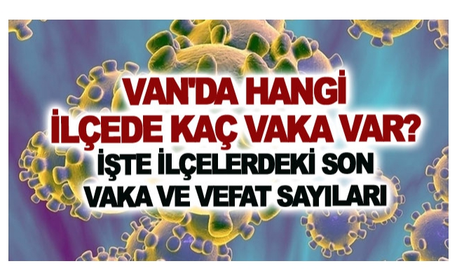 Van'da hangi ilçede kaç vaka var? işte son durum