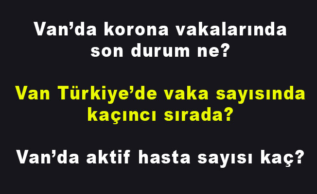 Korona virüs vakalarında Van'da son durum ne? İşte bayramın ilk günü itibariyle son durum