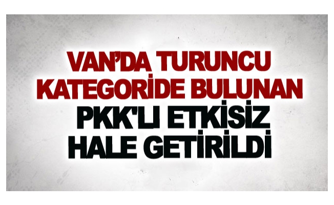 Van’da turuncu kategoride bulunan Pkk'lı etkisiz hale getirildi