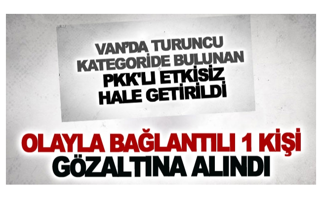 Van’da turuncu kategorideki 1 Pkk'lının etkisiz hale getirilmesi ile ilgili 1 gözaltı