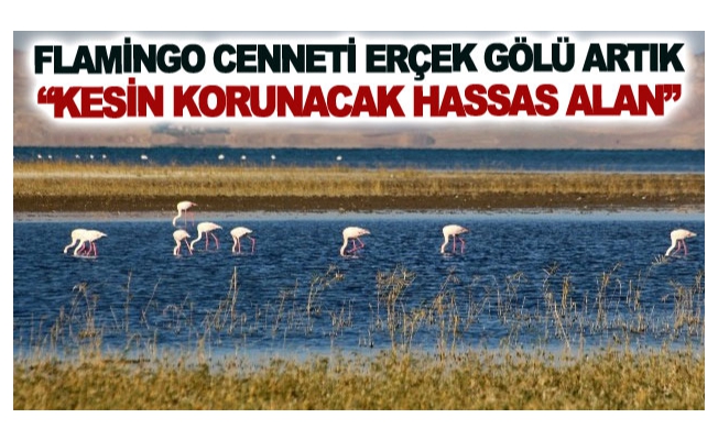 Flamingo cenneti Erçek Gölü artık kesin korunacak hassas alan